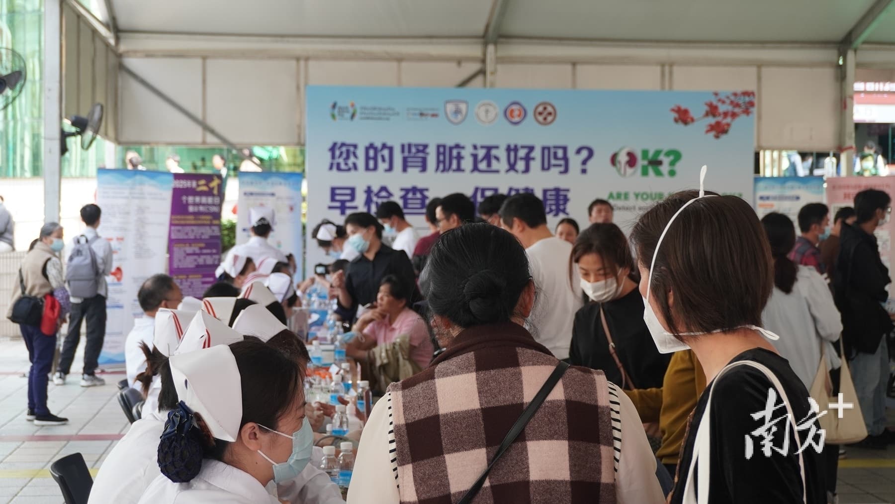 慢性肾病诊断率仅为28.4%，为何年轻人发病率上升？