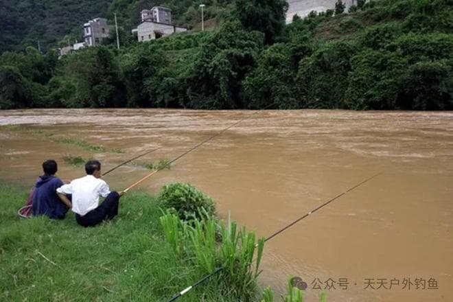 夏季钓鲤鱼的四大秘诀：从时间选择到调漂技巧