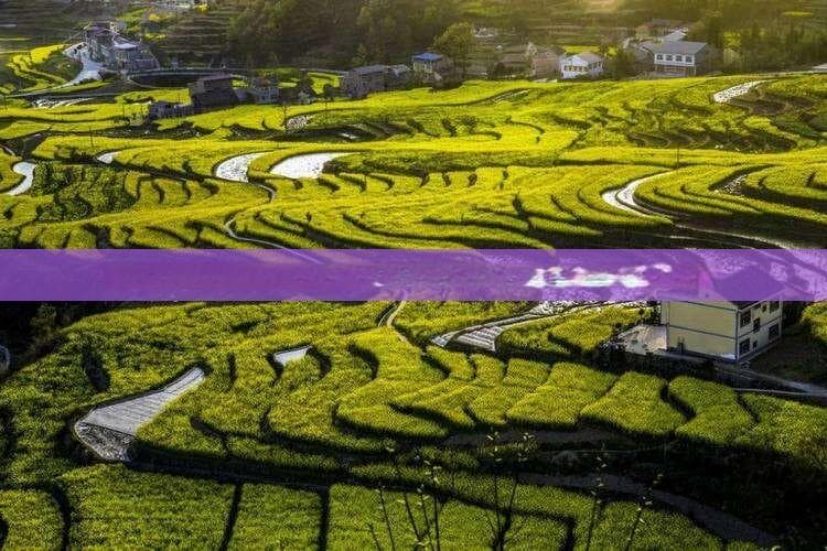 海南至北海深度游全攻略：行程规划、交通指南、住宿推荐及必玩景点