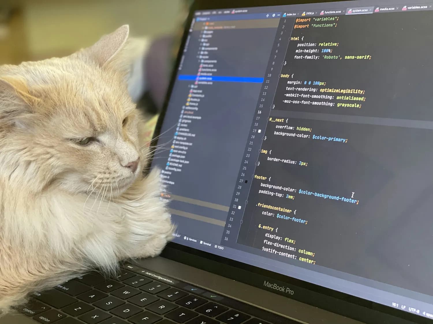 猫咪元素引爆UI设计新潮流