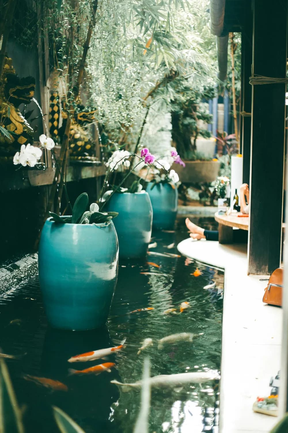 中式庭院水缸养鱼种荷，美爆了！