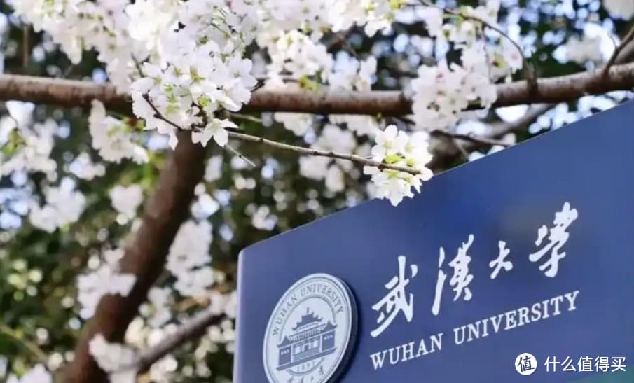 春日盛宴：探寻武大樱花最佳观赏地与时间的赏花秘籍