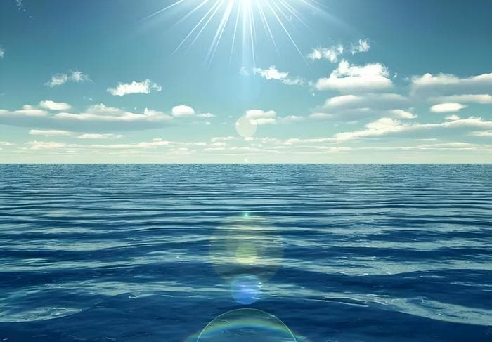 海子笔下的幸福蓝图与艺术探索：《面朝大海，春暖花开》赏析