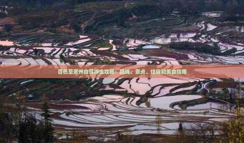 百色至贵州自驾游全攻略：路线、景点、住宿和美食指南