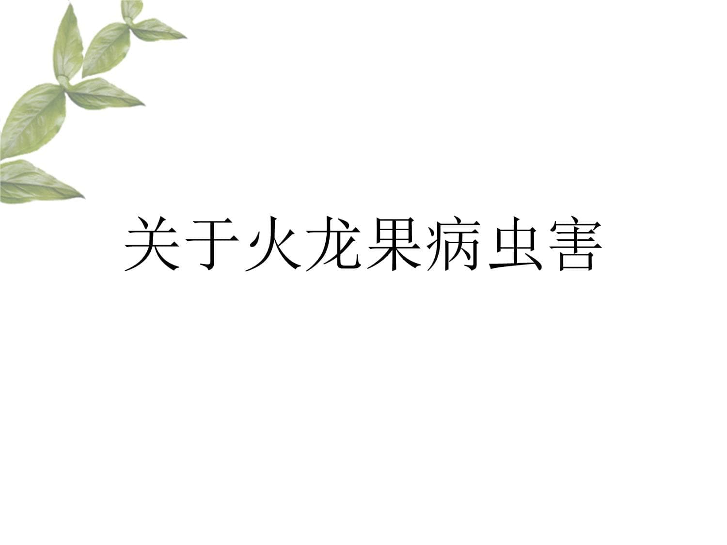 火龙果病虫害防治全攻略