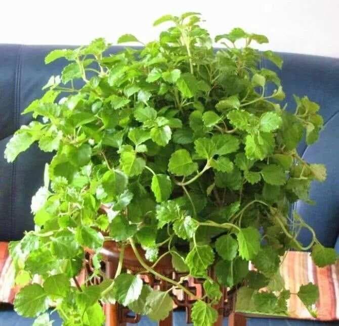 如何写出文章的画面感