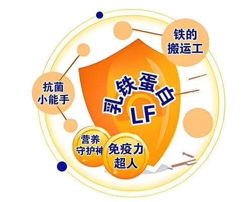 乳铁蛋白的十大作用：不只是增强抵抗力