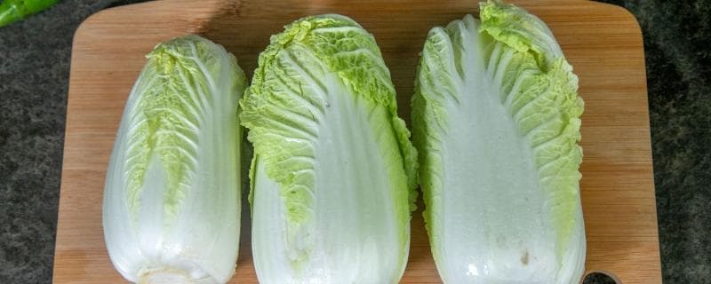 娃娃菜是转基因蔬菜吗？一文读懂娃娃菜的前世今生