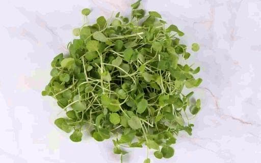 西洋菜：心脏健康的绿色守护者