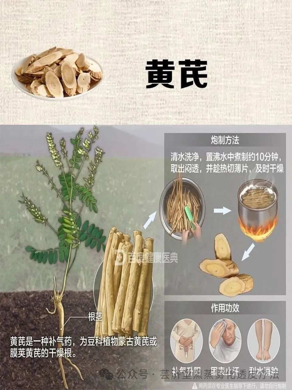 黄芪的功效与应用：从传统到现代的全面解析