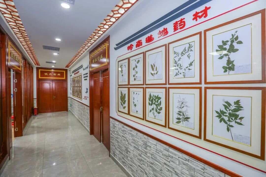 中药的最佳服用时间