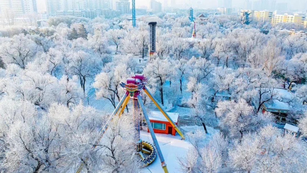 气温偏高致哈尔滨初雪迟到，预计本周将至