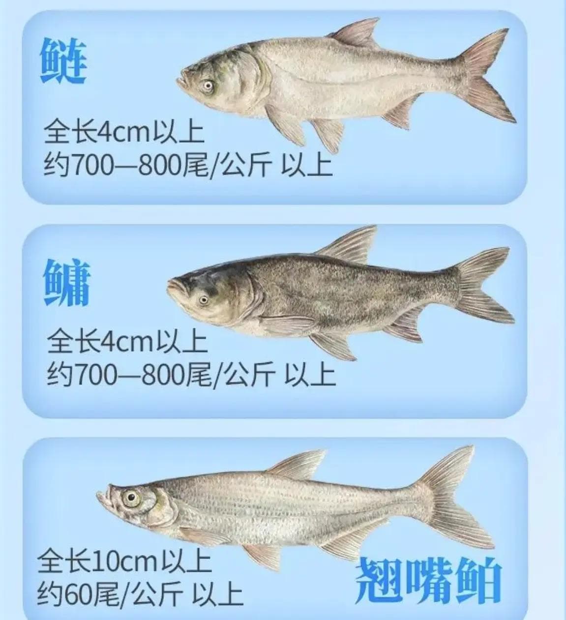 放生不当反成害，专家详解如何科学放生