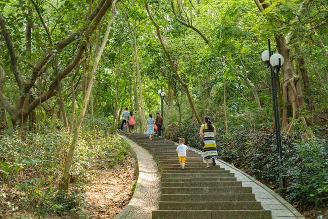 深圳12处适合老人、小孩和懒人的爬山好去处