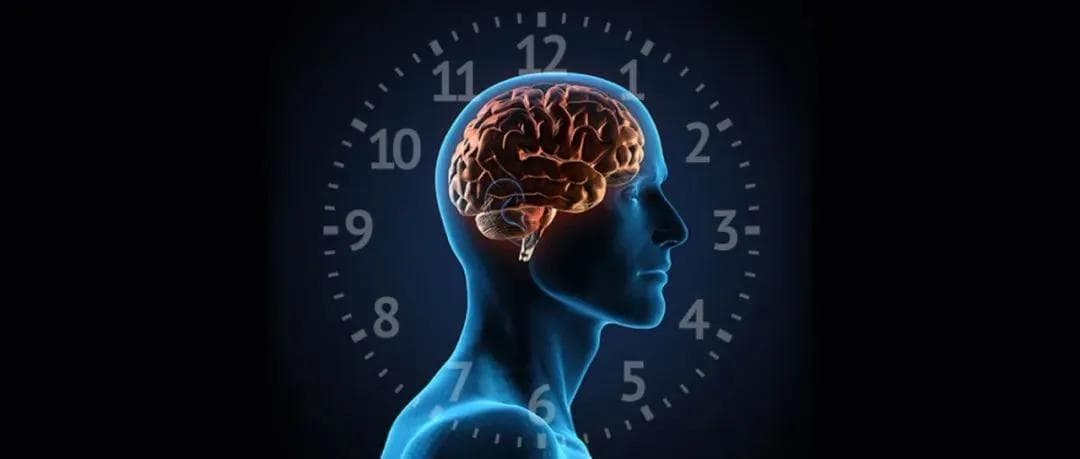 Nature重磅：揭开睡眠不足为什么会损害记忆力