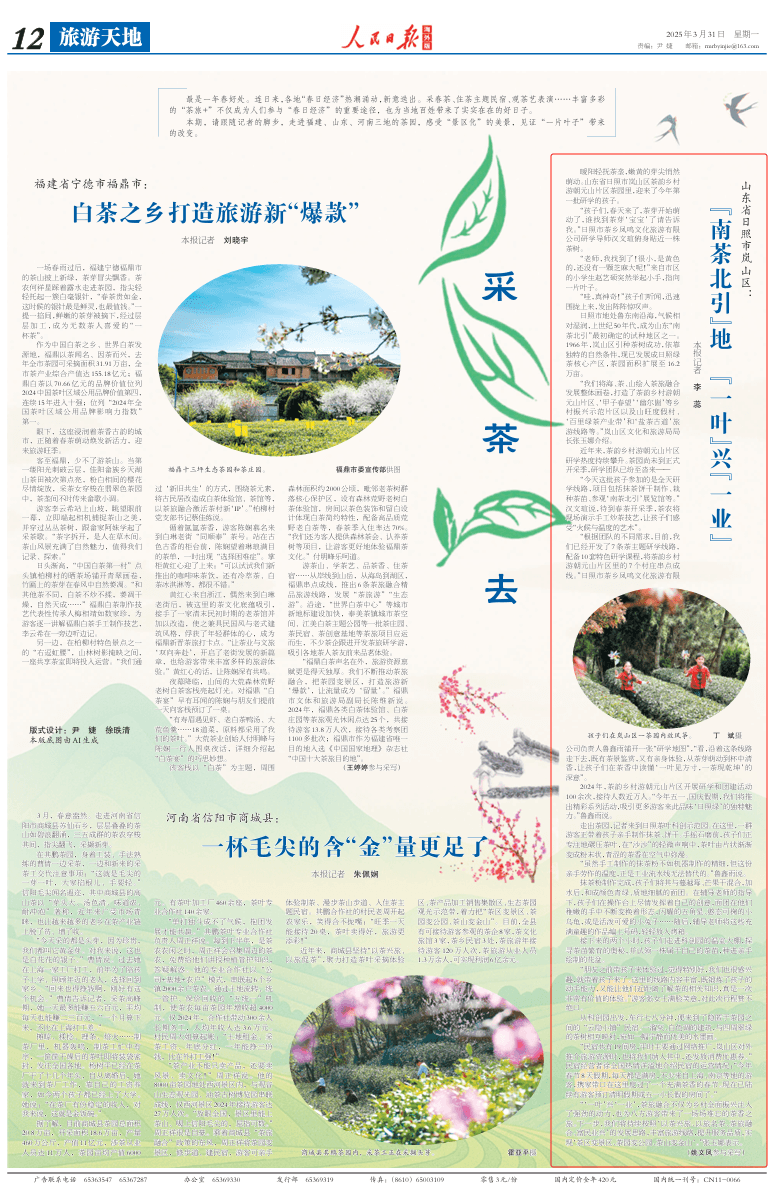 日照岚山区：“南茶北引”地 “一叶”兴“一业”