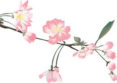 春意浓浓，繁花下的校园有多美？一起来“点亮”春天