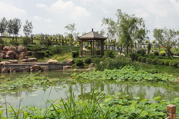 沈阳陵园设计：从风水布局到文化传承的双重考量