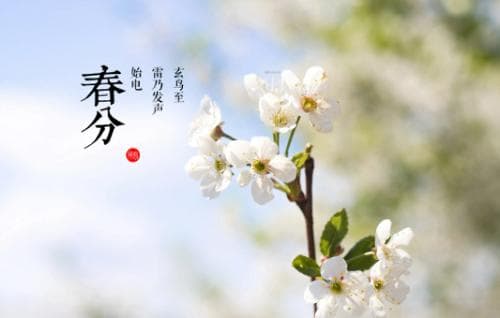 春分的含义、特点与风俗：一个节气的文化密码