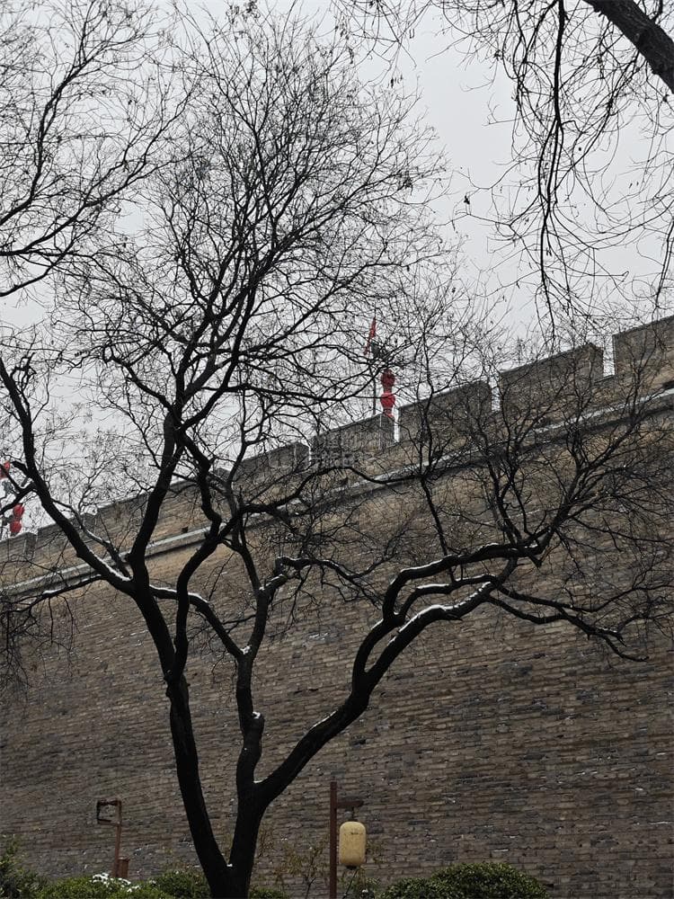 这才是西安人最爱逛的美景地！景美人少，遛弯遛娃，舒服又惬意