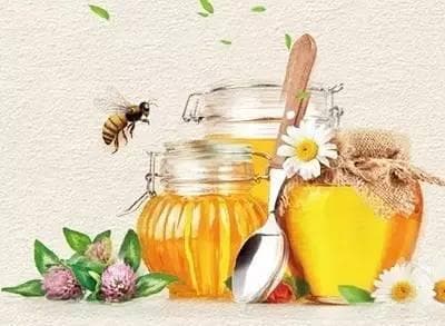 一勺蜂蜜+12种喝法，帮您省去不少医药费