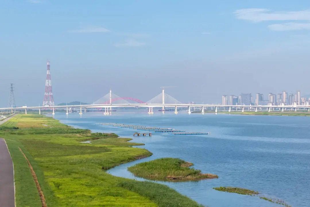 秋日的北仑藏着一条绝美秘境线路！看海、观鸟、拍美照……