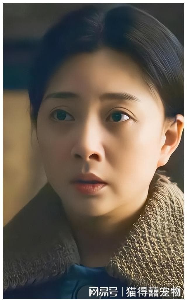殷桃：从白玉兰到金鹰奖的最佳女主角之路