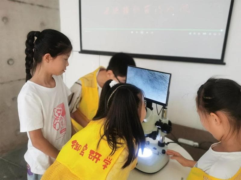 景德镇：陶瓷文化“燃”动研学圈，暑期“研学+文旅”热力开启