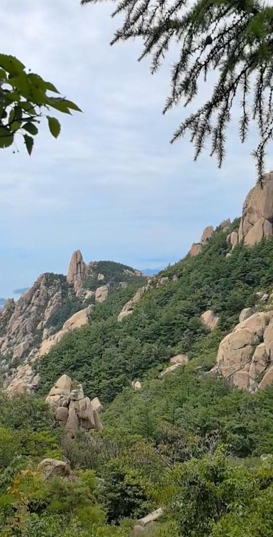 自驾游崂山攻略：从仰口到流清河的环海公路之旅