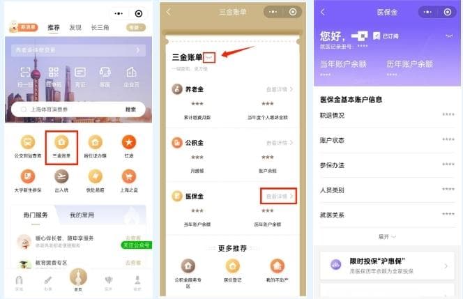 医保金查询全攻略：余额明细一目了然！