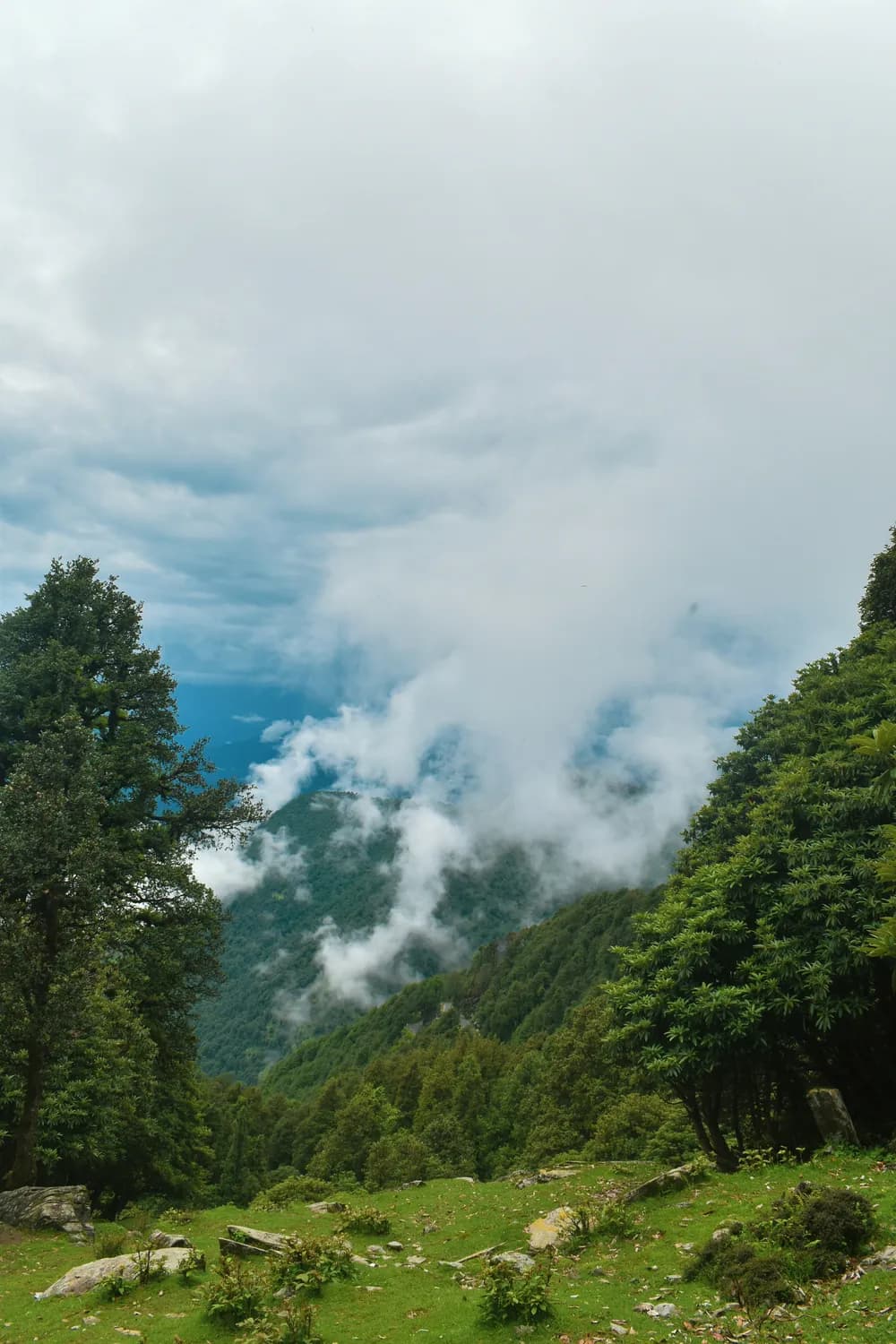青城山：成都周边最值得打卡的道教圣地