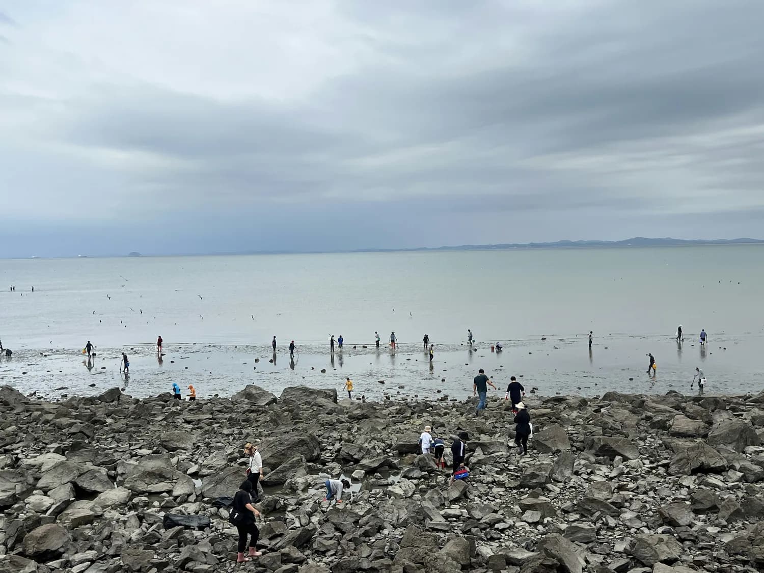 日照赶海攻略：避开坑，捡到宝！