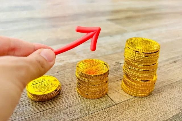 高效液相色谱法：原理、组件与应用