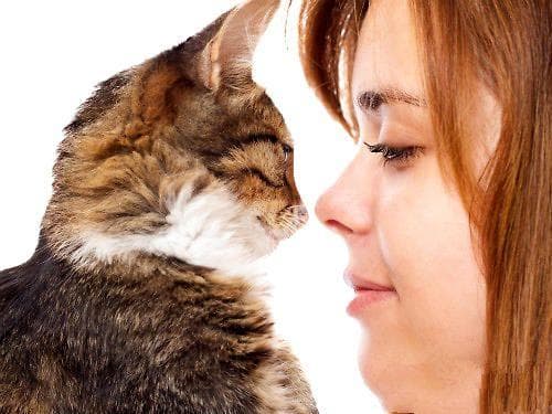 帮猫咪节食可以让你们更亲密？