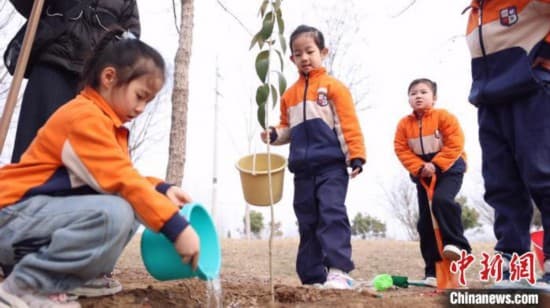 植树活动掀热潮 齐鲁大地添“绿装”
