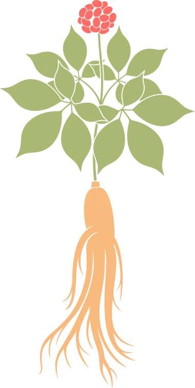 “小”咳嗽大科普：透视背后的健康密码 | 中国咳嗽科普日