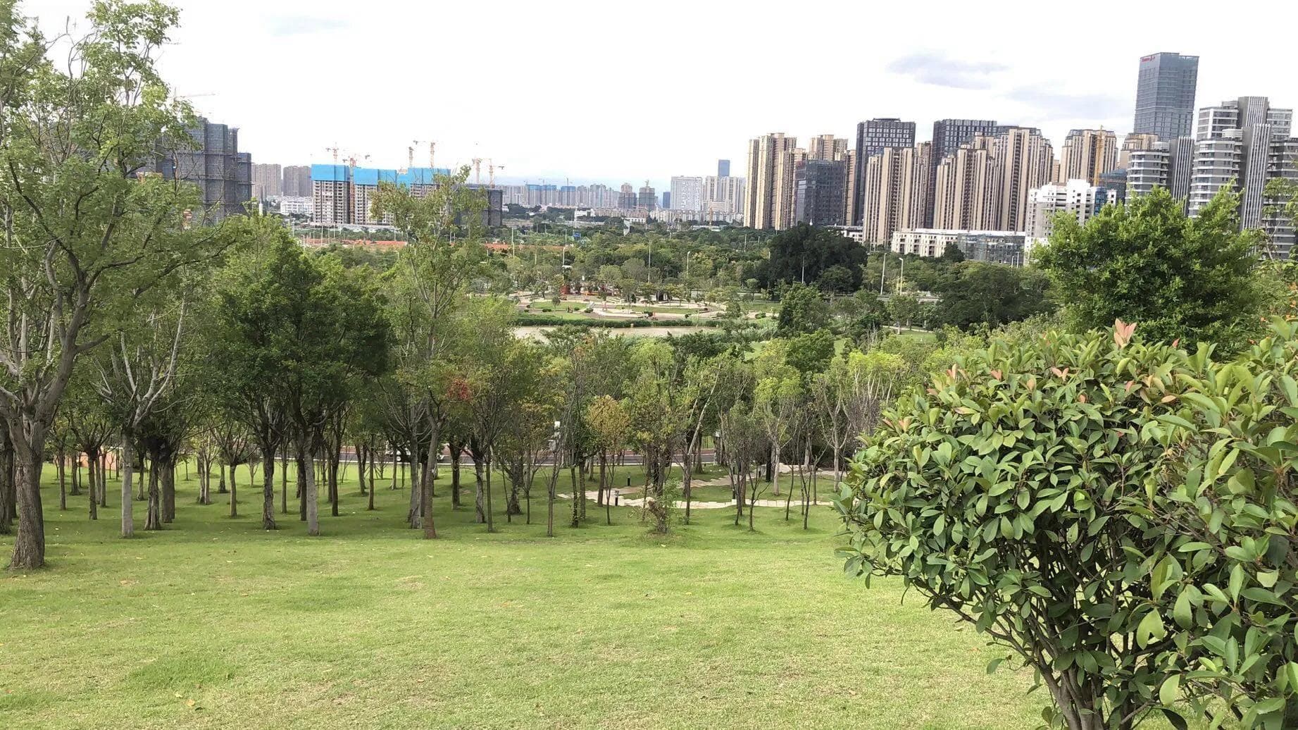 “象”由心生——古代诗歌中意象与情感的联系