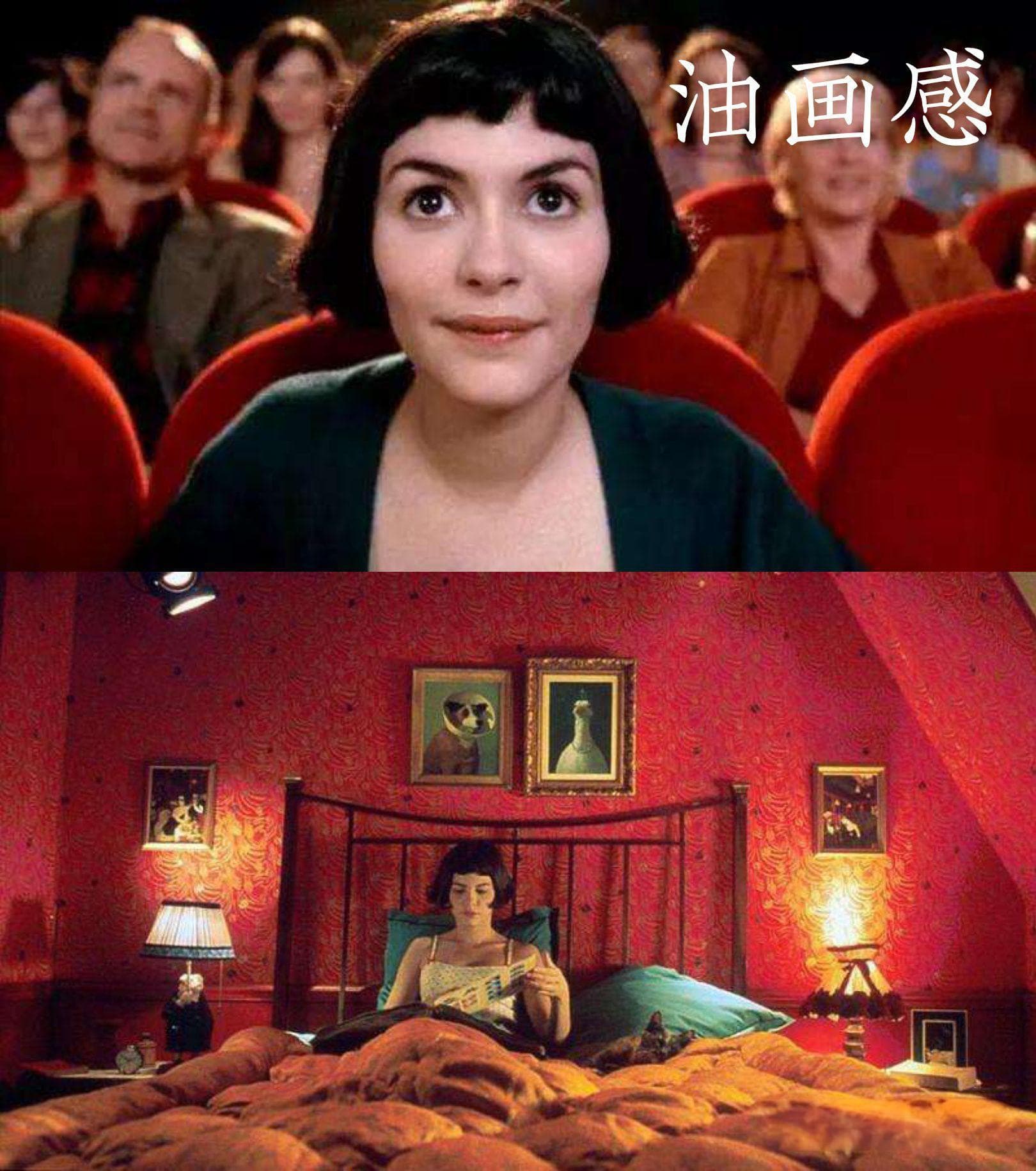 幽默而苦涩的治愈 ——评电影《天使爱美丽》
