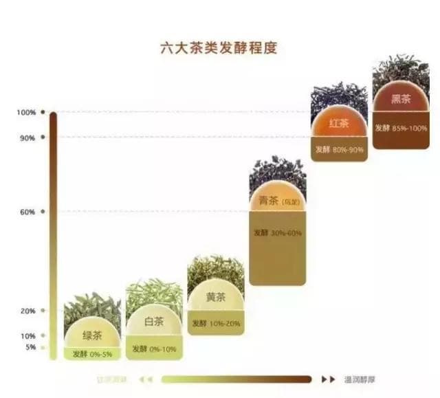 一次性说懂中国茶（请收藏）