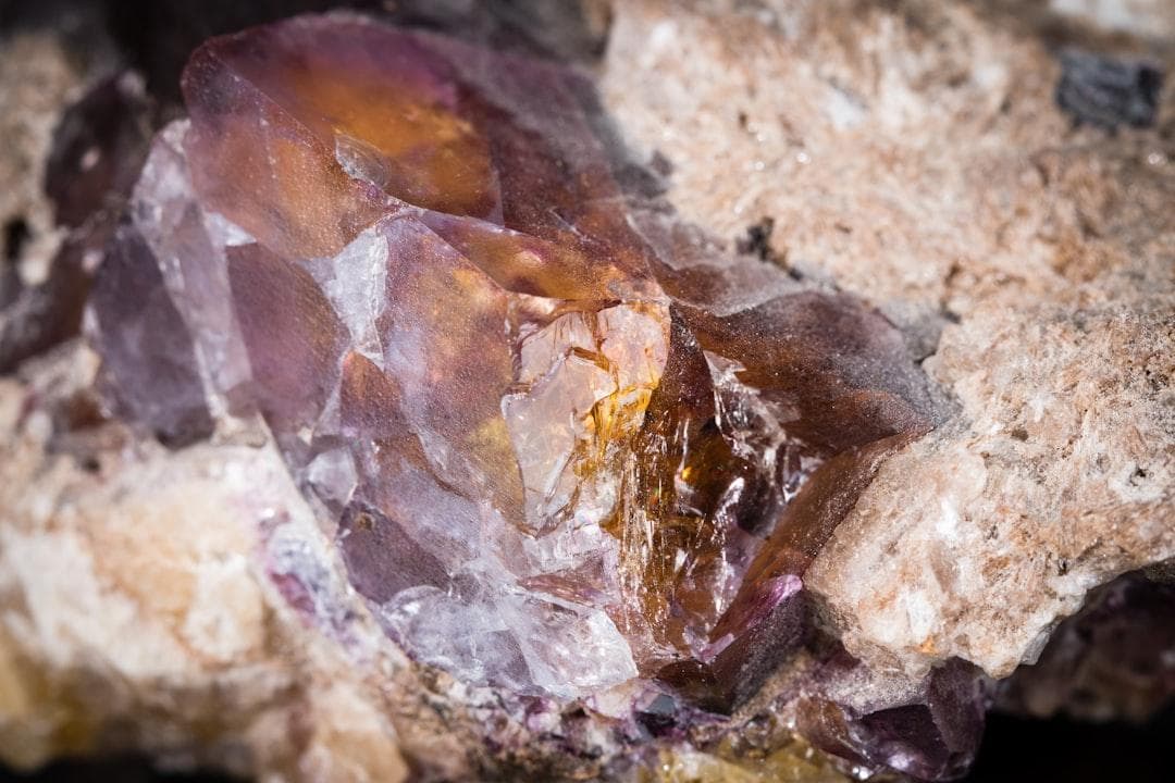 属木适合什么颜色？五行色彩搭配秘诀大公开！
