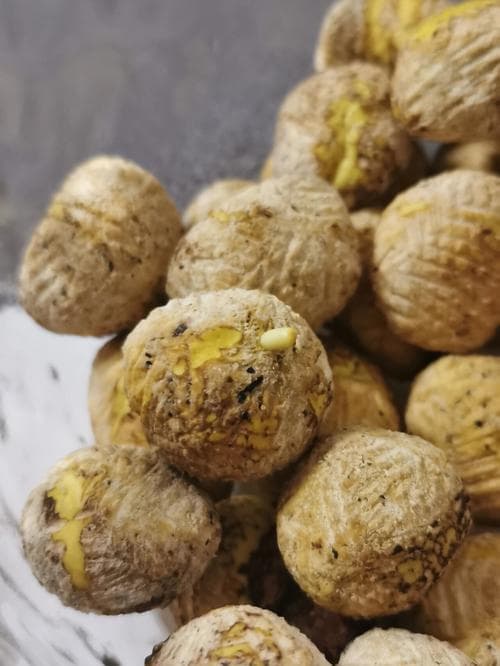 板栗发芽会有毒吗？（板栗发芽了能种吗）