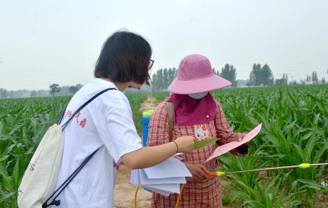 大学生三下乡活动：定义、内容与作用全解析
