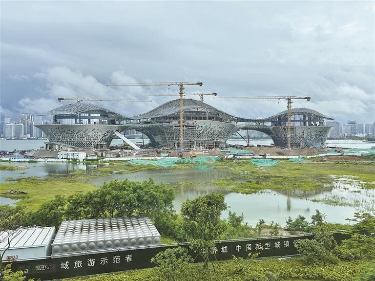 百千万工程的深圳力量·湛江篇：一群深圳人在湛江“打翻了调色板”
