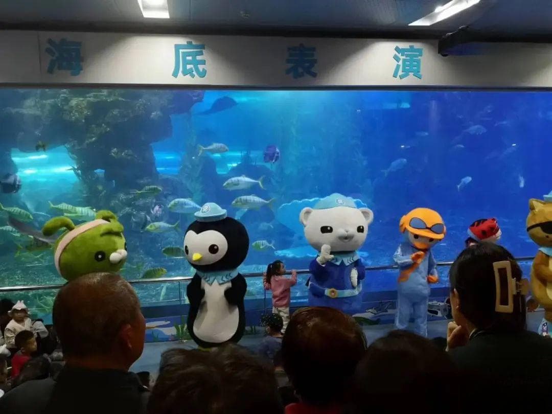 上海长风海洋世界携手《海底小纵队》，守护海洋生态