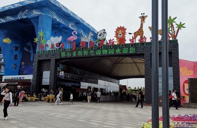 鄂尔多斯野生动物园游玩攻略：门票价格、免费政策及优惠政策全解析