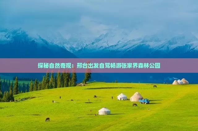 探秘自然奇观：邢台出发自驾畅游张家界森林公园