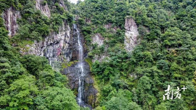 安远探源：三百山为笔，书写东江源头大文章