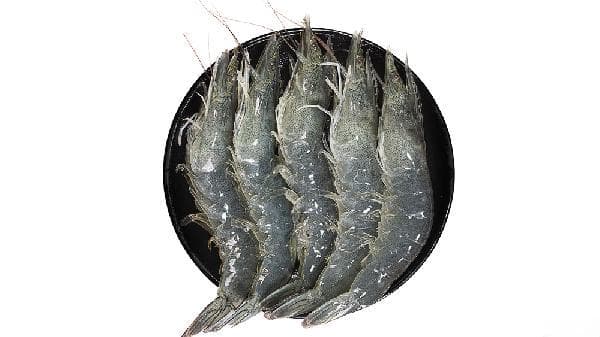 地笼捕河虾用什么诱饵