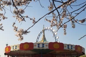 鲅鱼圈旅游攻略：本地人带你玩转海滨城市