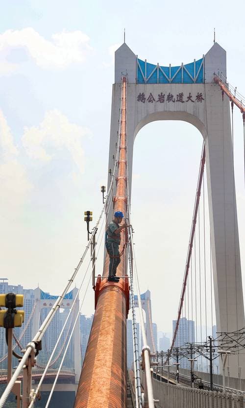 社会保险相关知识视频，理解与掌握的桥梁